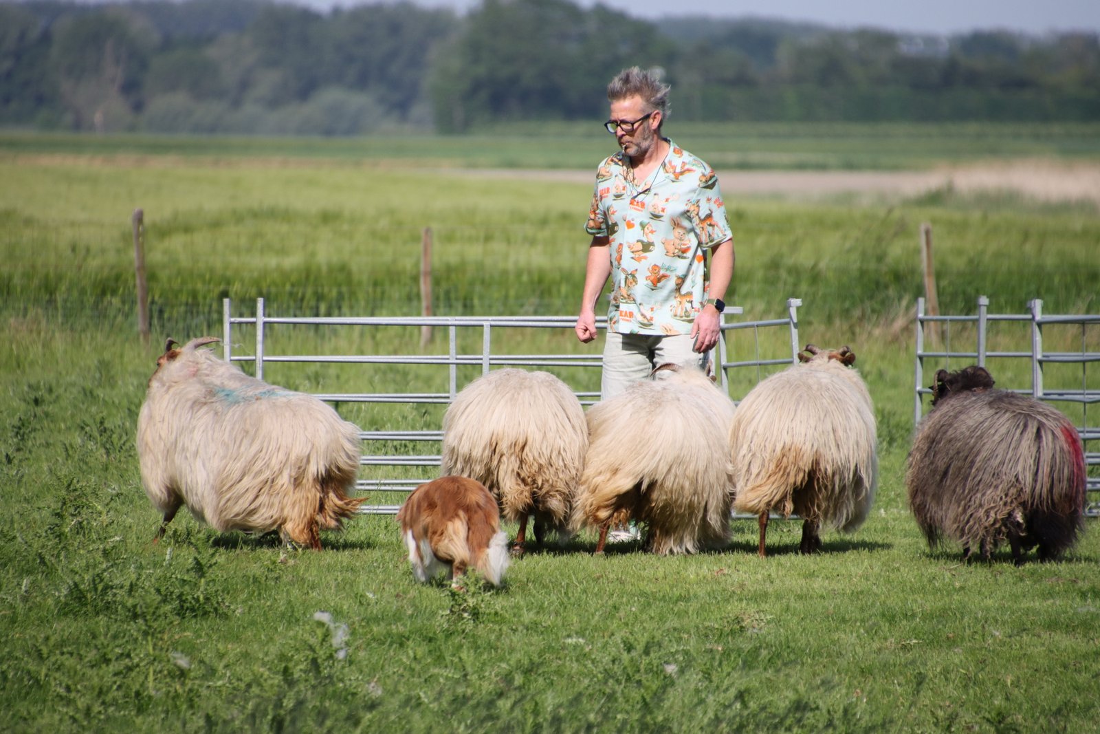 2026 0523 24 Zaamslag 012