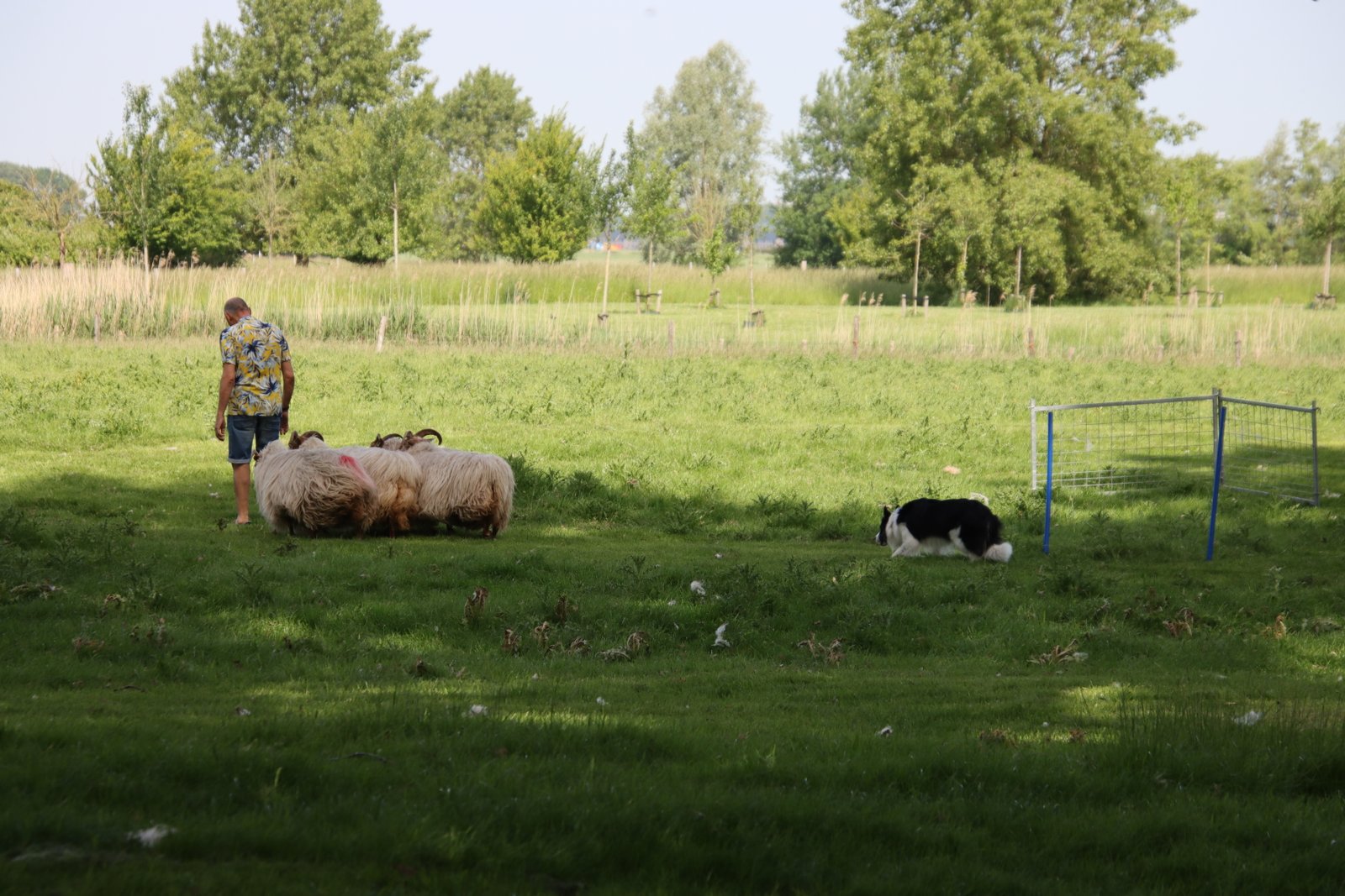 2026 0523 24 Zaamslag 015