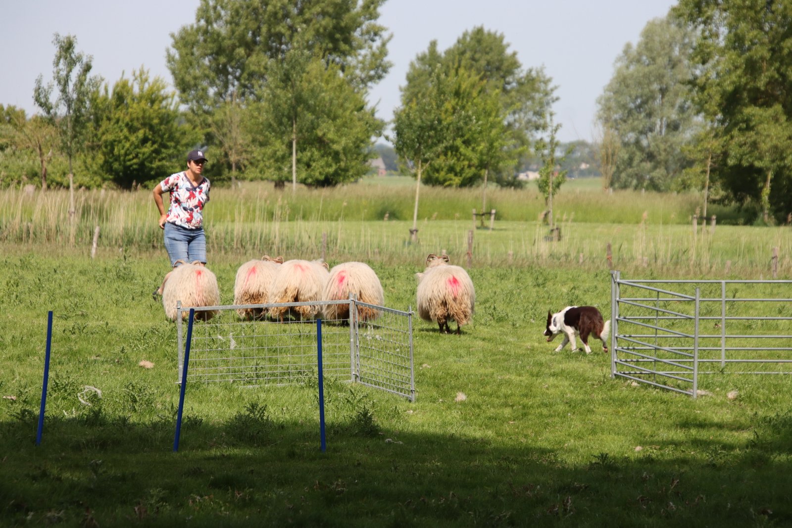 2026 0523 24 Zaamslag 041