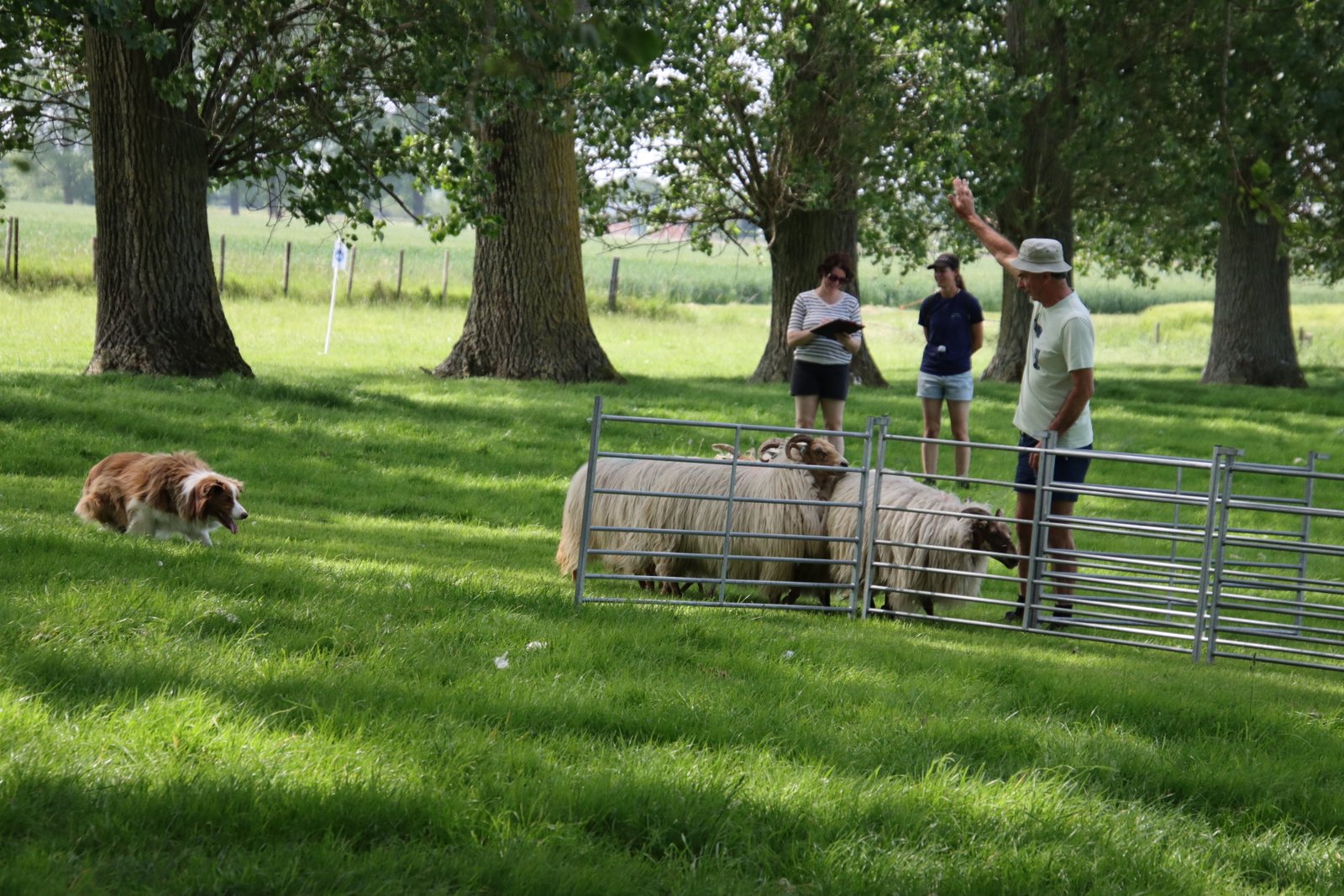 2026 0523 24 Zaamslag 130