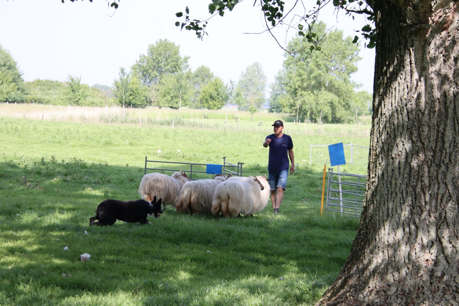 2026 0523 24 Zaamslag 170