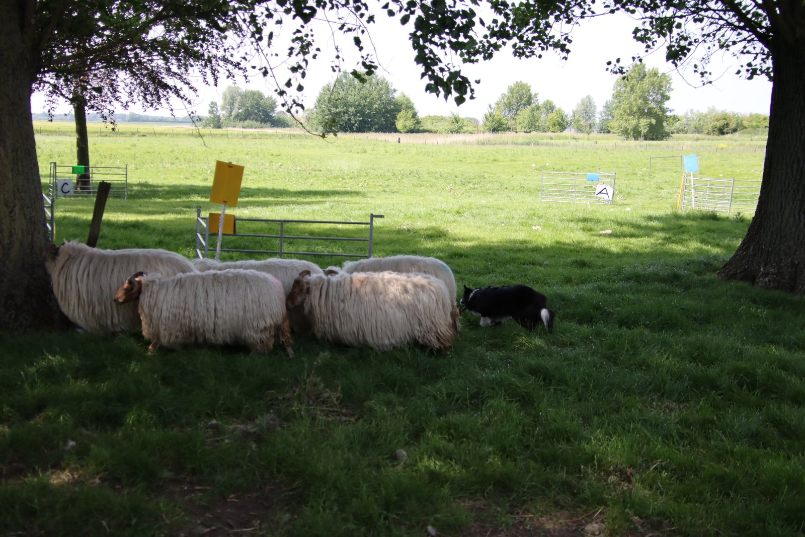 2026 0523 24 Zaamslag 265