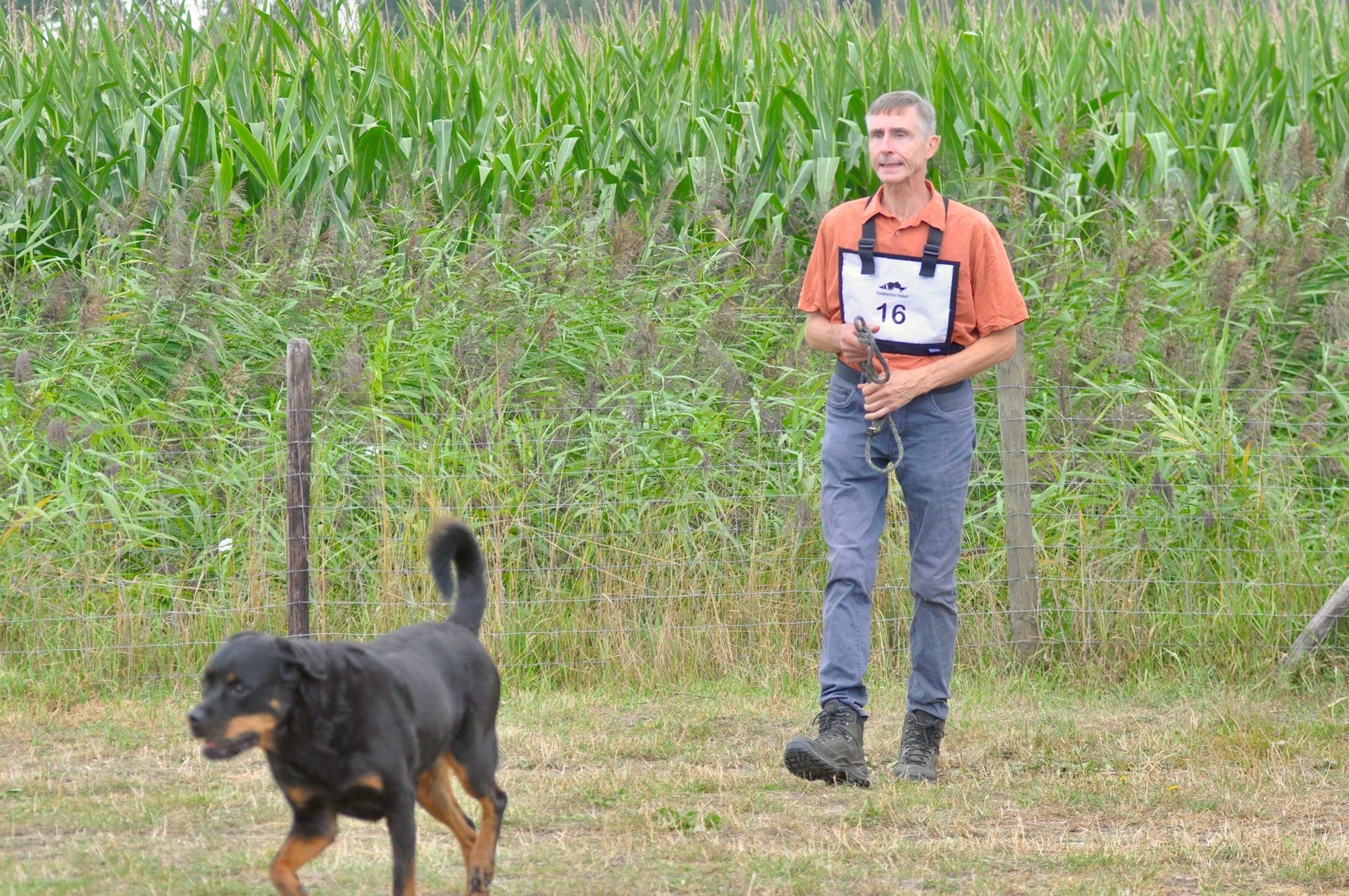 01DDBEC0 044F 4E8C AD27 C5668CCF9CB9 1 201 a