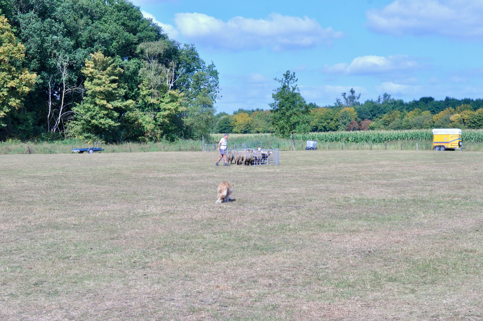 08792AD6 102E 4298 953E FDAFED8B90C1 1 201 a