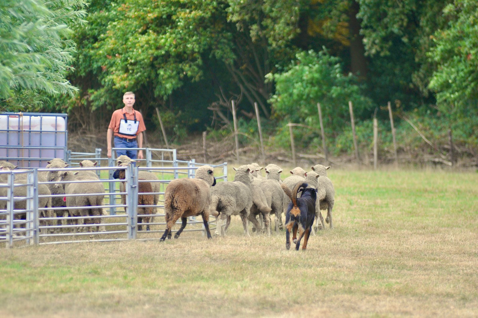 110DDBBF B717 480A 8DCC 4E55BEAE1D37 1 201 a