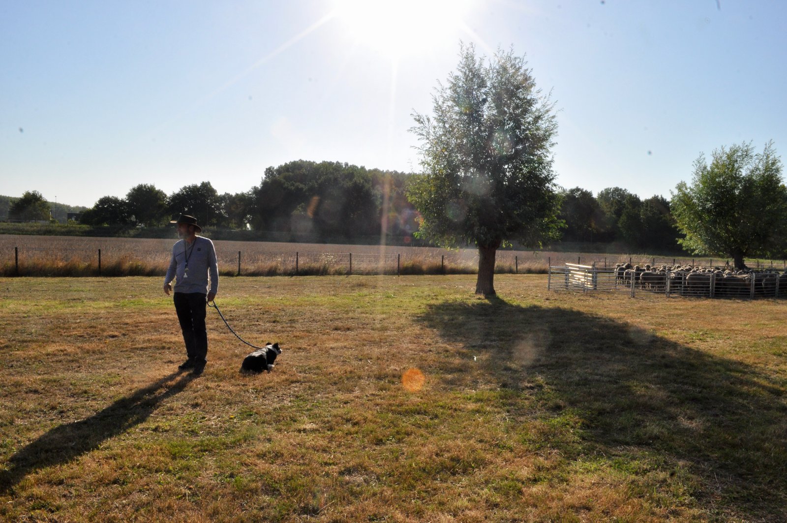 22191267 8B65 4D06 9158 692EA9CFE87E 1 201 a