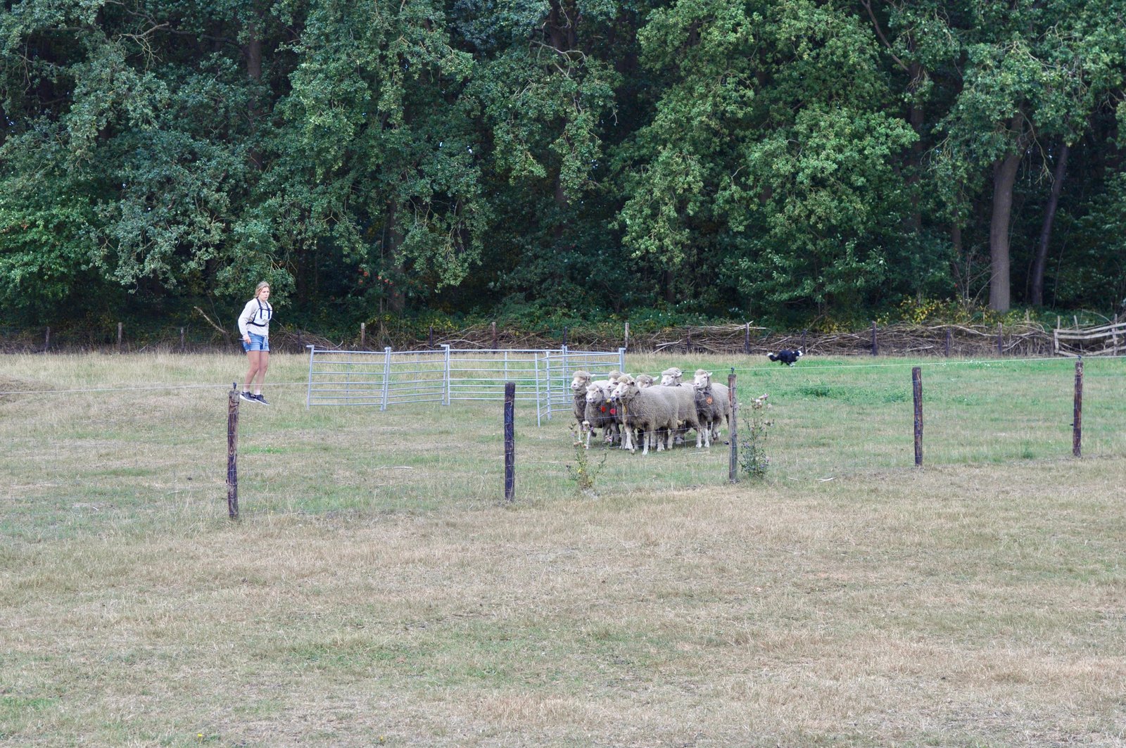 2F0F633C 1DD2 4F12 B988 138B82A7A7D3 1 201 a