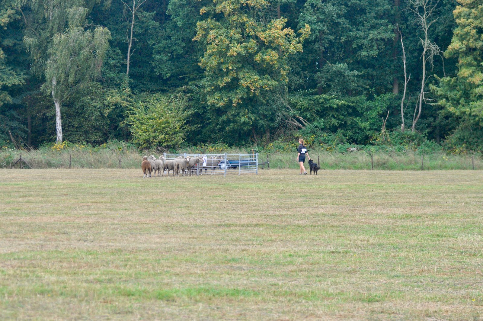 3708F926 EBA9 4EE2 9968 C724DEAB8A0D 1 201 a