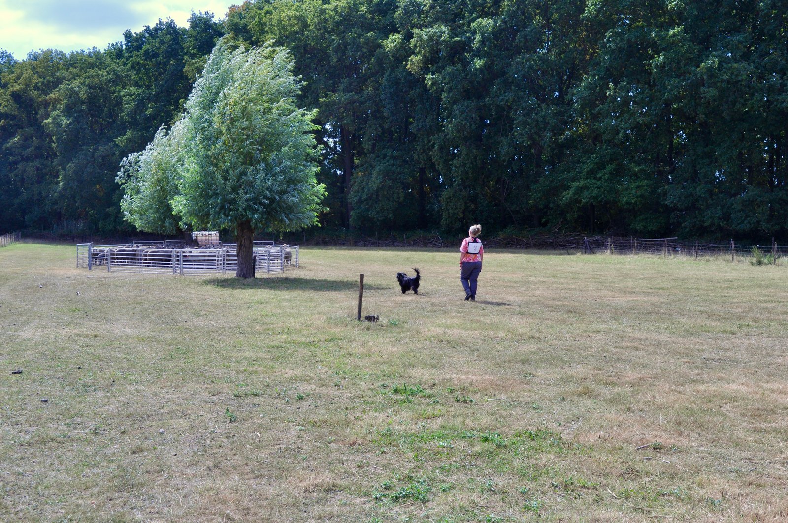 37116153 7EF2 4EA2 80EC 1B669B355C77 1 201 a