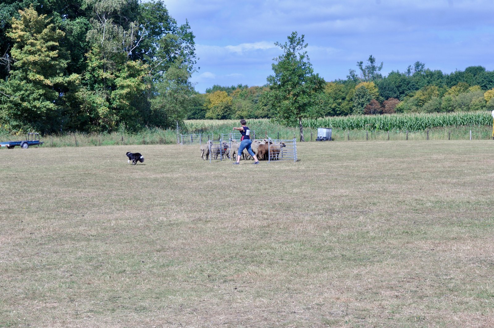 546C0454 4416 46A2 9736 ED90631615A8 1 201 a