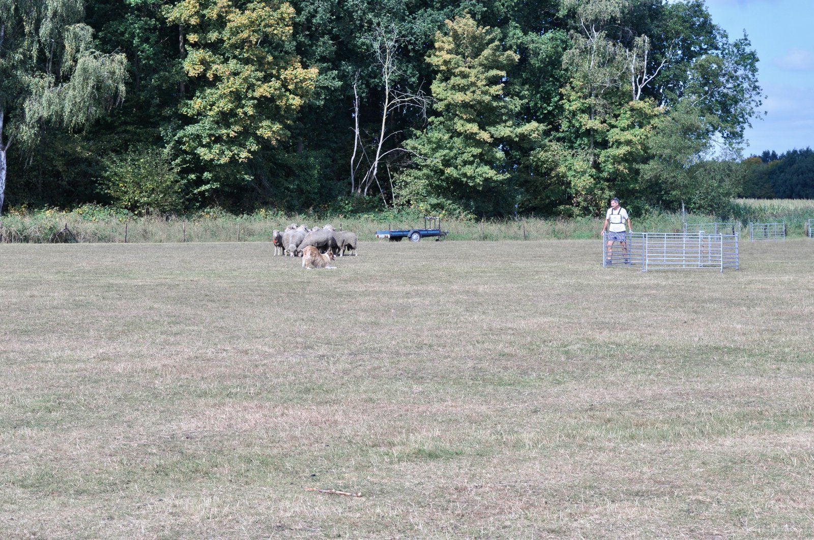 580FA7A3 C4DC 49E8 82FB 547EBA239EEF 1 201 a