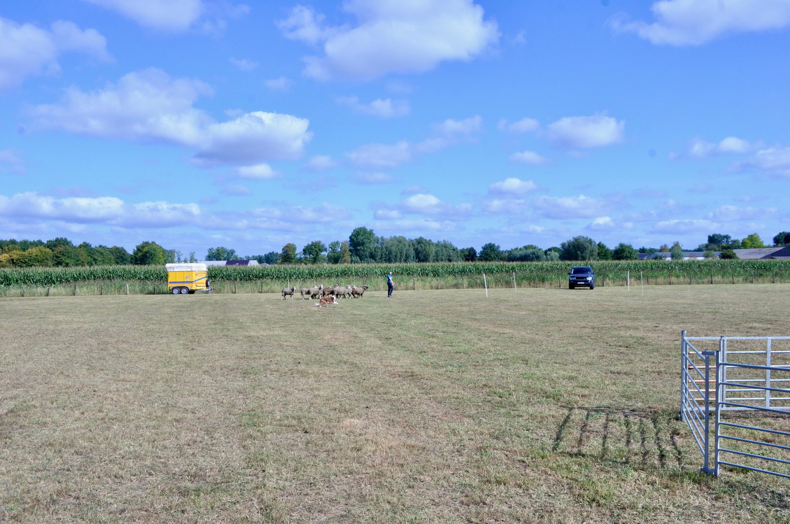 611A5E5B 6520 4A15 B71D 78362ED0B139 1 201 a