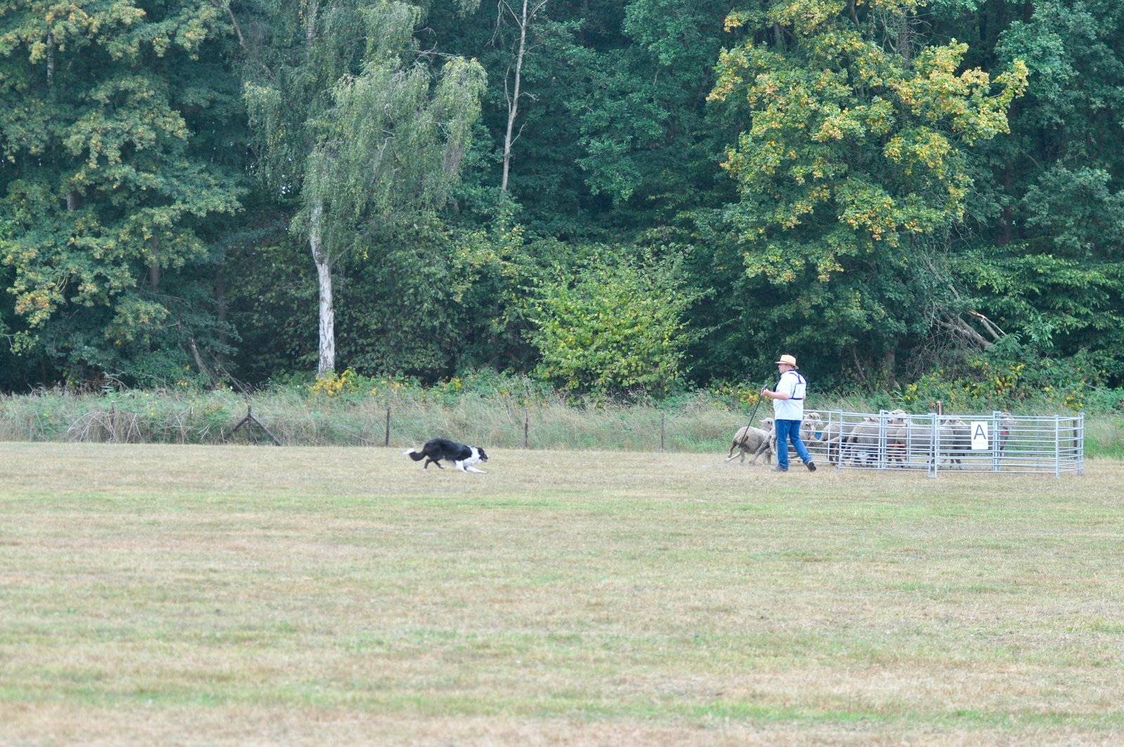 700C41DC 8AB8 4C87 AD29 C5EA92CD0FFE 1 201 a