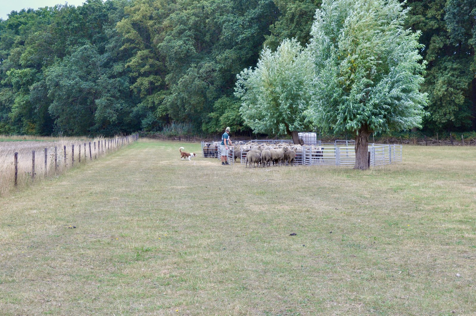 8144CD96 2951 4AAA B840 50835A3CB405 1 201 a