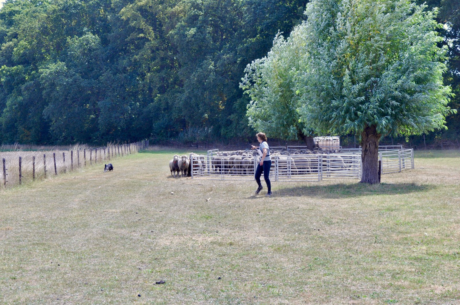 84225DE9 7D42 493B ACDC FBAEF4ECC049 1 201 a