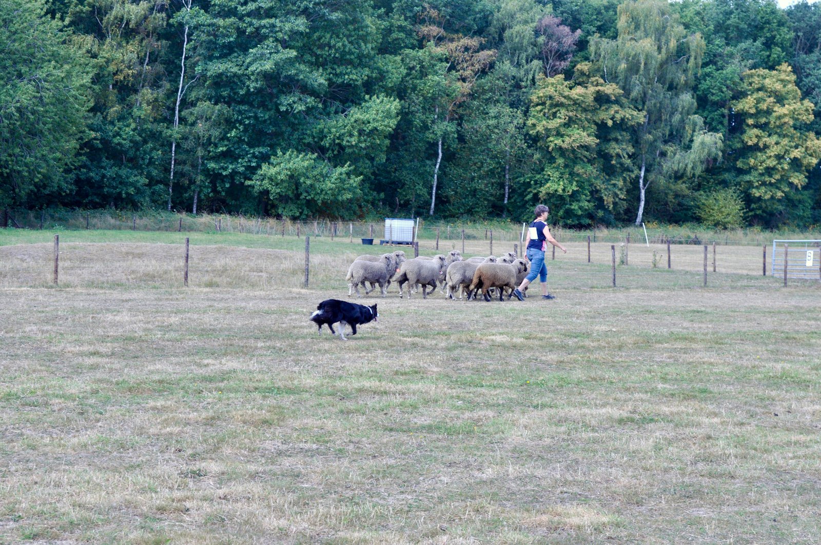 93DE9135 F156 4021 BBAB 164180F5A4F1 1 201 a