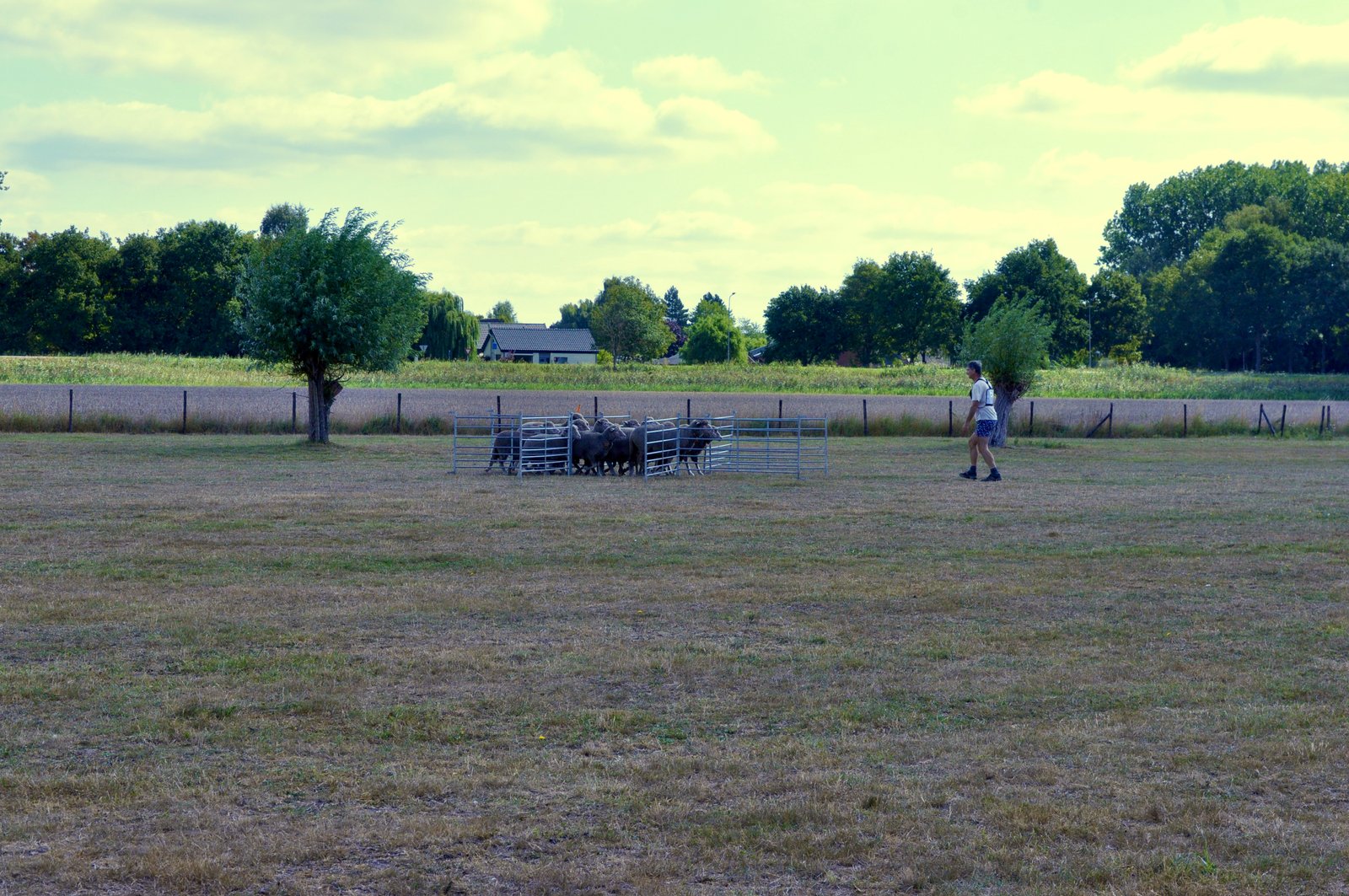 943C29C3 4828 459F A633 D57E0C01C51C 1 201 a