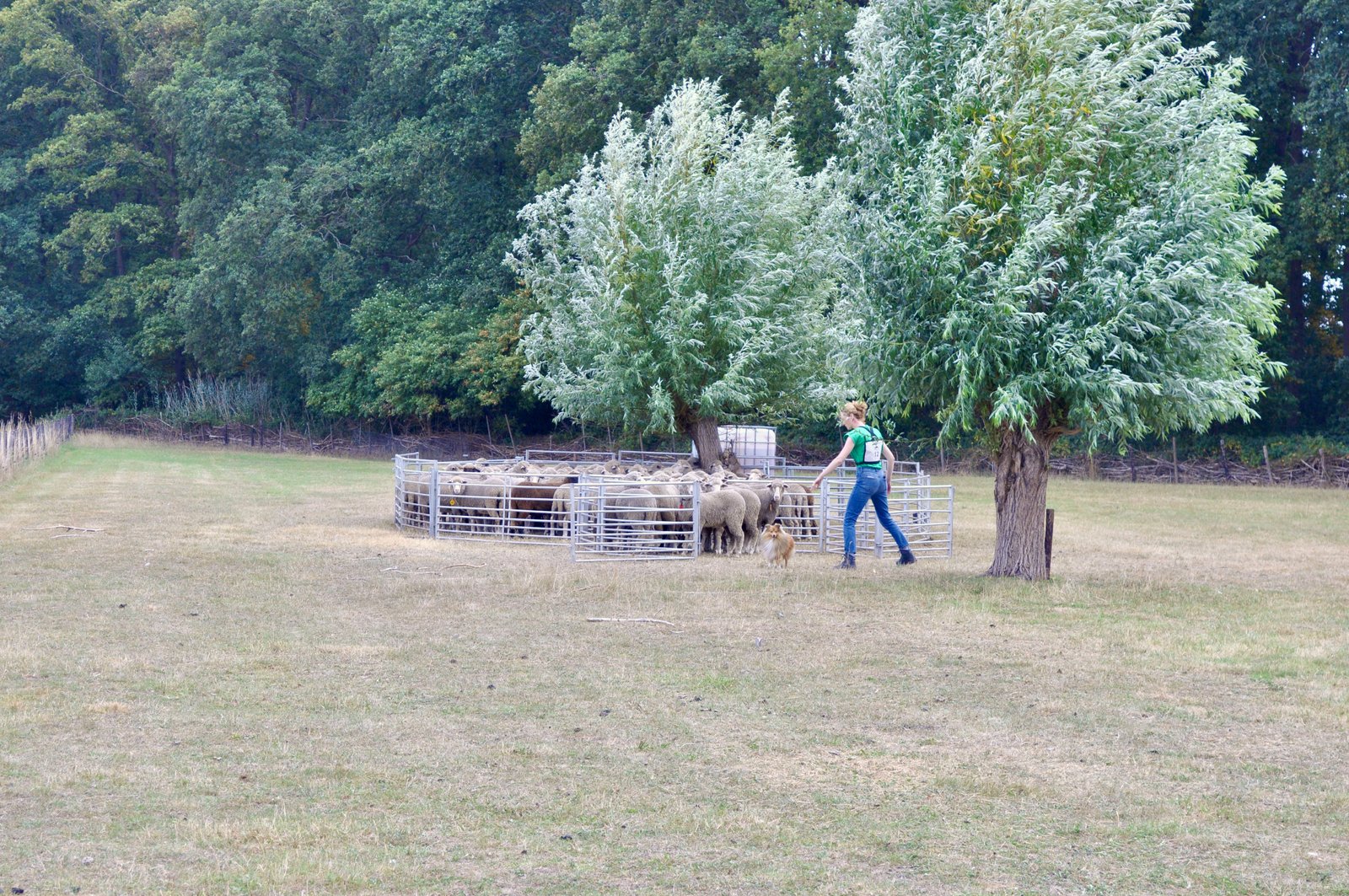 9462C20A 378C 406B 82D7 8963263A2FBD 1 201 a