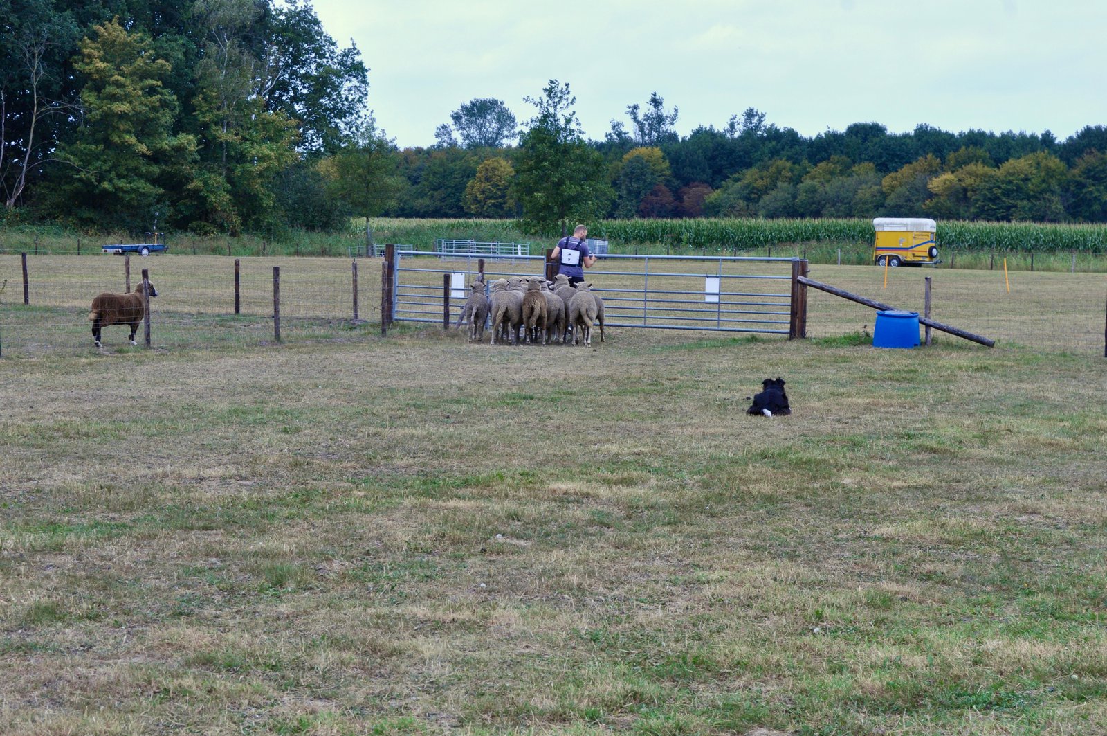 A63EC3D6 A151 4165 813A 3A52CE75471A 1 201 a