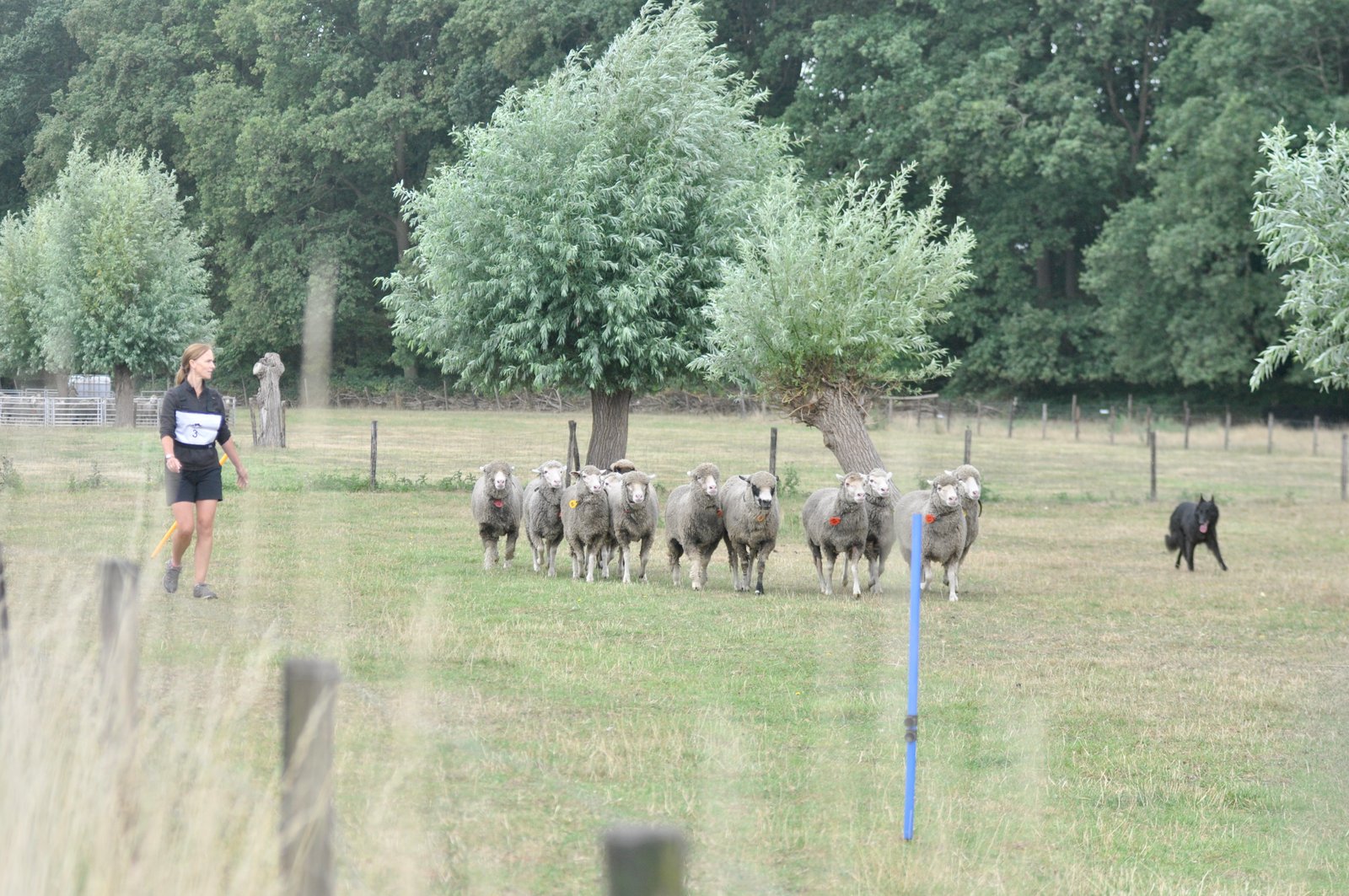 AD05BC49 BC3F 4995 A494 9C4E5B8C707D 1 201 a