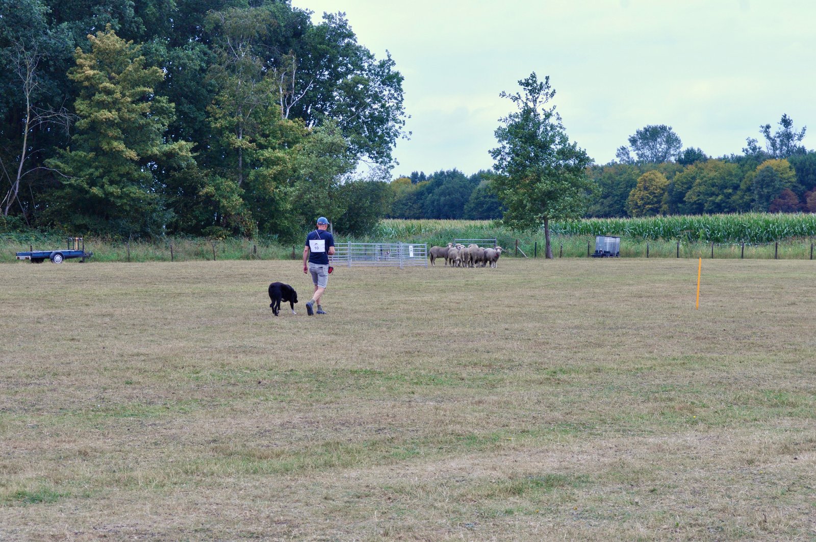 B27B1D04 D6E7 4AA8 9116 18ACEEF1E563 1 201 a