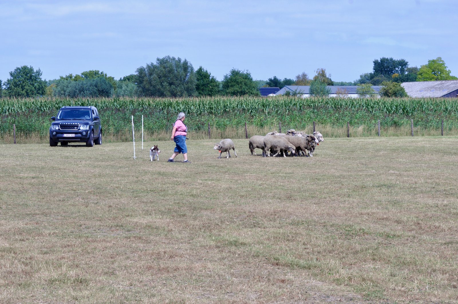 C3628E34 5F8B 433E 868B EA4FA093FD06 1 201 a