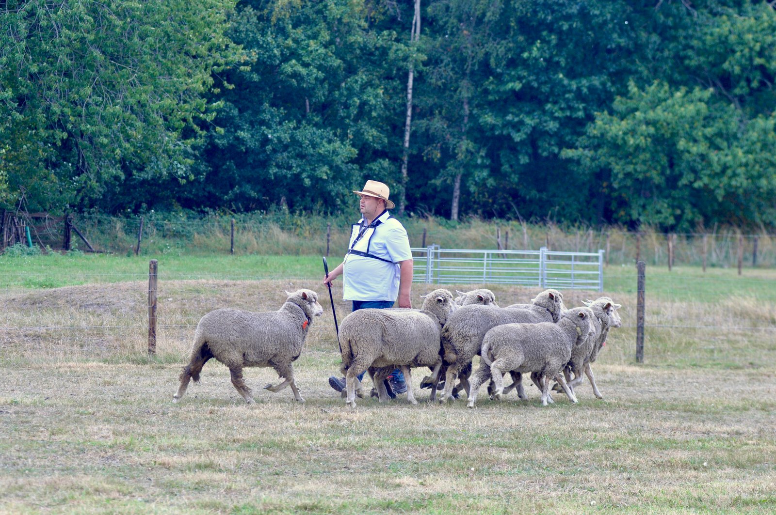 D50C02CF 6018 4D64 8EA5 148F09C6CA06 1 201 a