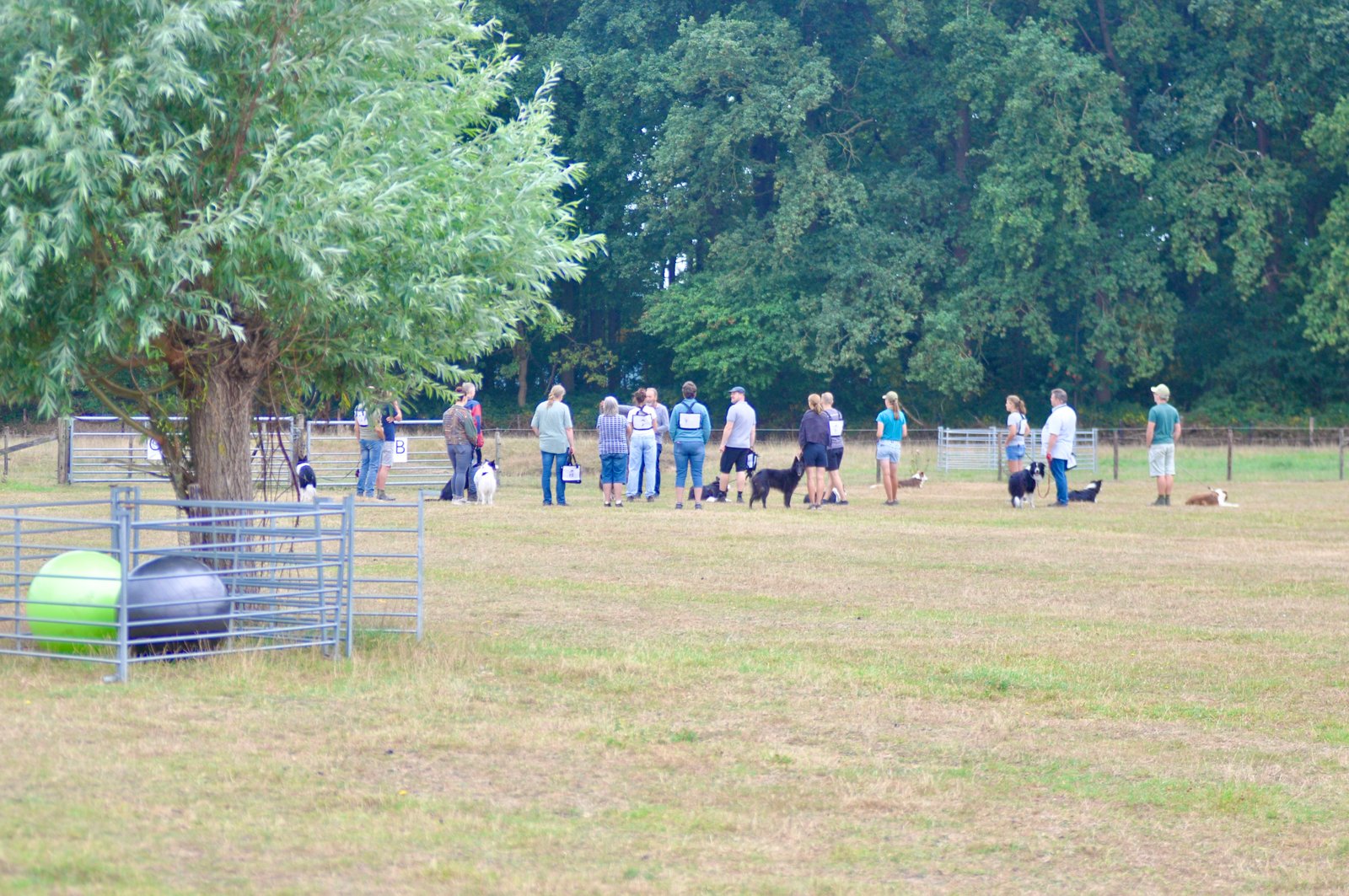 E45A3F93 F9A9 4D63 B8A6 29A614C1F8E2 1 201 a