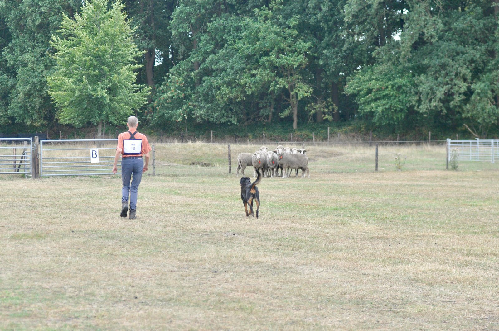 EC8CA79A 53B7 4A07 8256 BFE7D73ECD34 1 201 a