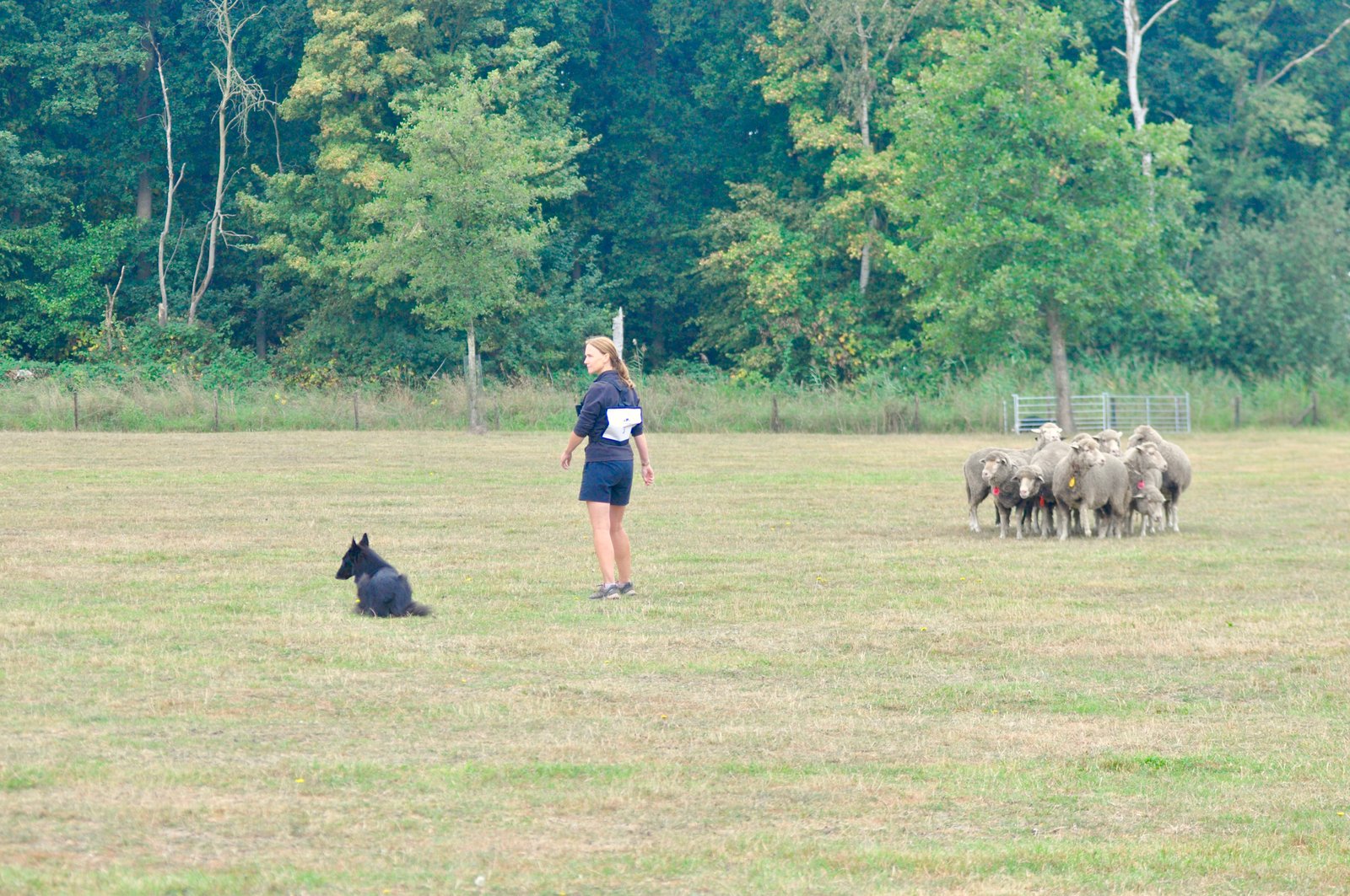 FBC193B2 A110 40FE A03B B85138A72EDA 1 201 a